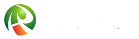 新發展集團